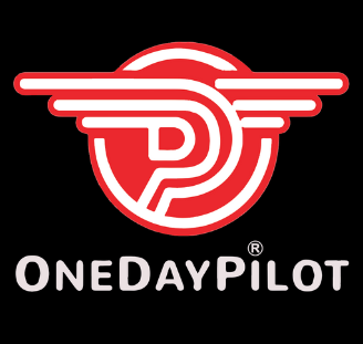 One Day Pilot